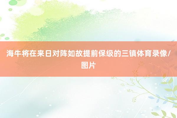 海牛将在来日对阵如故提前保级的三镇体育录像/图片