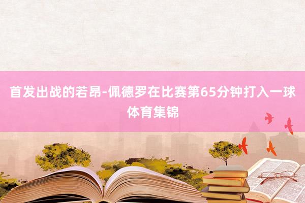 首发出战的若昂-佩德罗在比赛第65分钟打入一球体育集锦