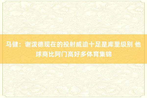 马健:谢泼德现在的投射威迫十足是库里级别 他球商比阿门高好多体育集锦