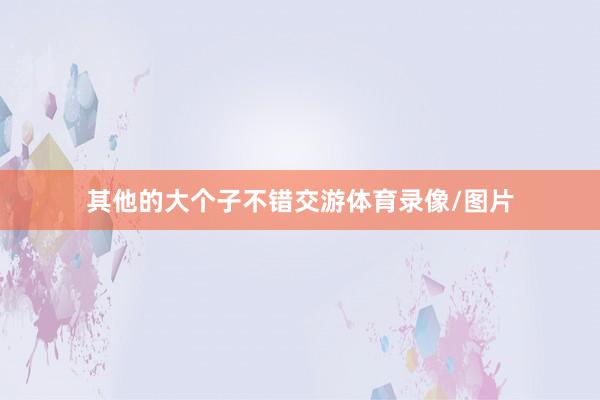 其他的大个子不错交游体育录像/图片