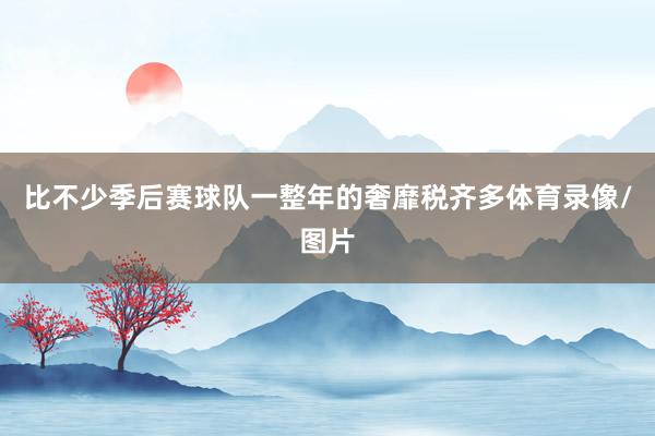 比不少季后赛球队一整年的奢靡税齐多体育录像/图片