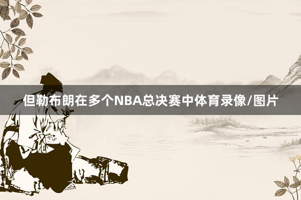 但勒布朗在多个NBA总决赛中体育录像/图片