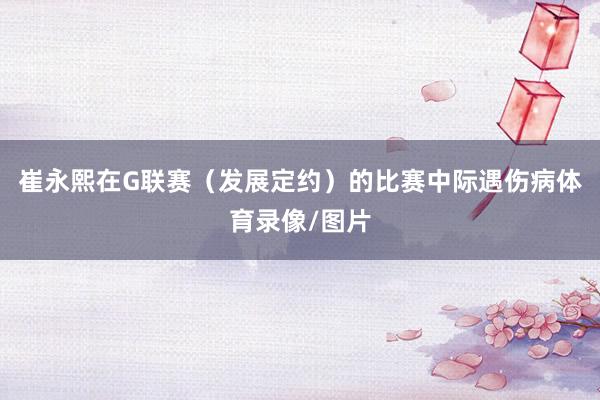 崔永熙在G联赛（发展定约）的比赛中际遇伤病体育录像/图片